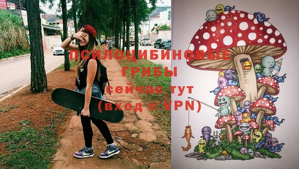 apvp Алексин
