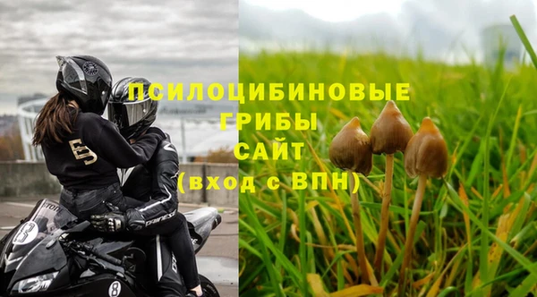 apvp Алексин
