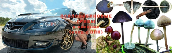 spice Алзамай