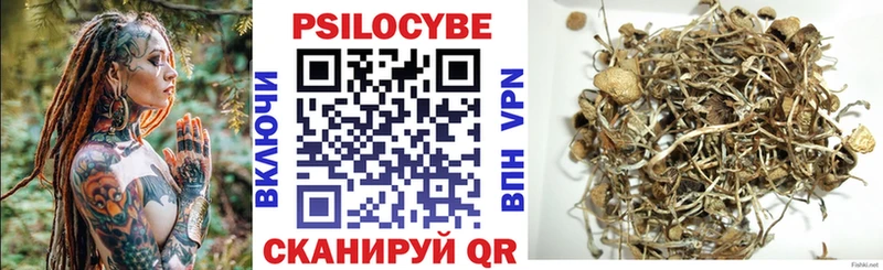 Галлюциногенные грибы прущие грибы  Гусь-Хрустальный 