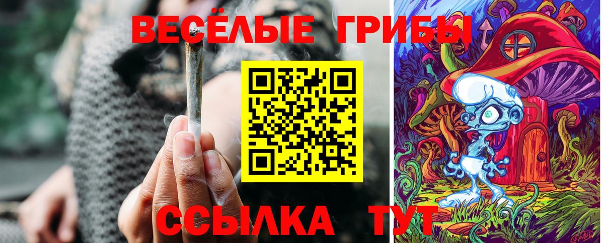 Псилоцибиновые грибы мицелий  наркошоп  Гусь-Хрустальный  Вход с VPN 